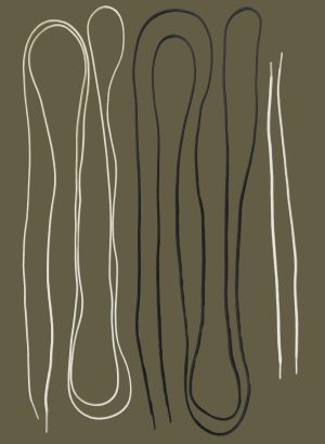 Premium Laces - long & short