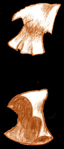 sketch_FlemishHood_1407