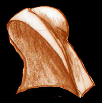 sketch_FlemishHood_late13thc