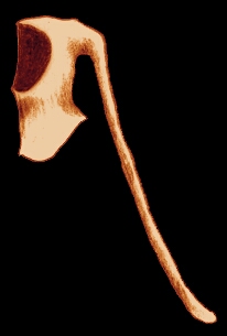 sketch_HoodLiripipe_c1340