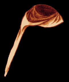 sketch_HoodLiripipe_c1377