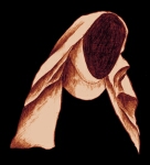 sketch_RectVeil_Wimple_c1270