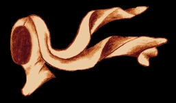 sketch_RectVeil_Wimple_c1335