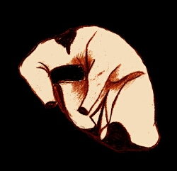 sketch_Tunic_Early14thc