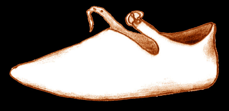 sketch_turnshoe_13-14thc