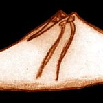 sketch_turnshoe_latemidages