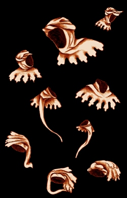 sketch_WoolHoods_GastonPhebus